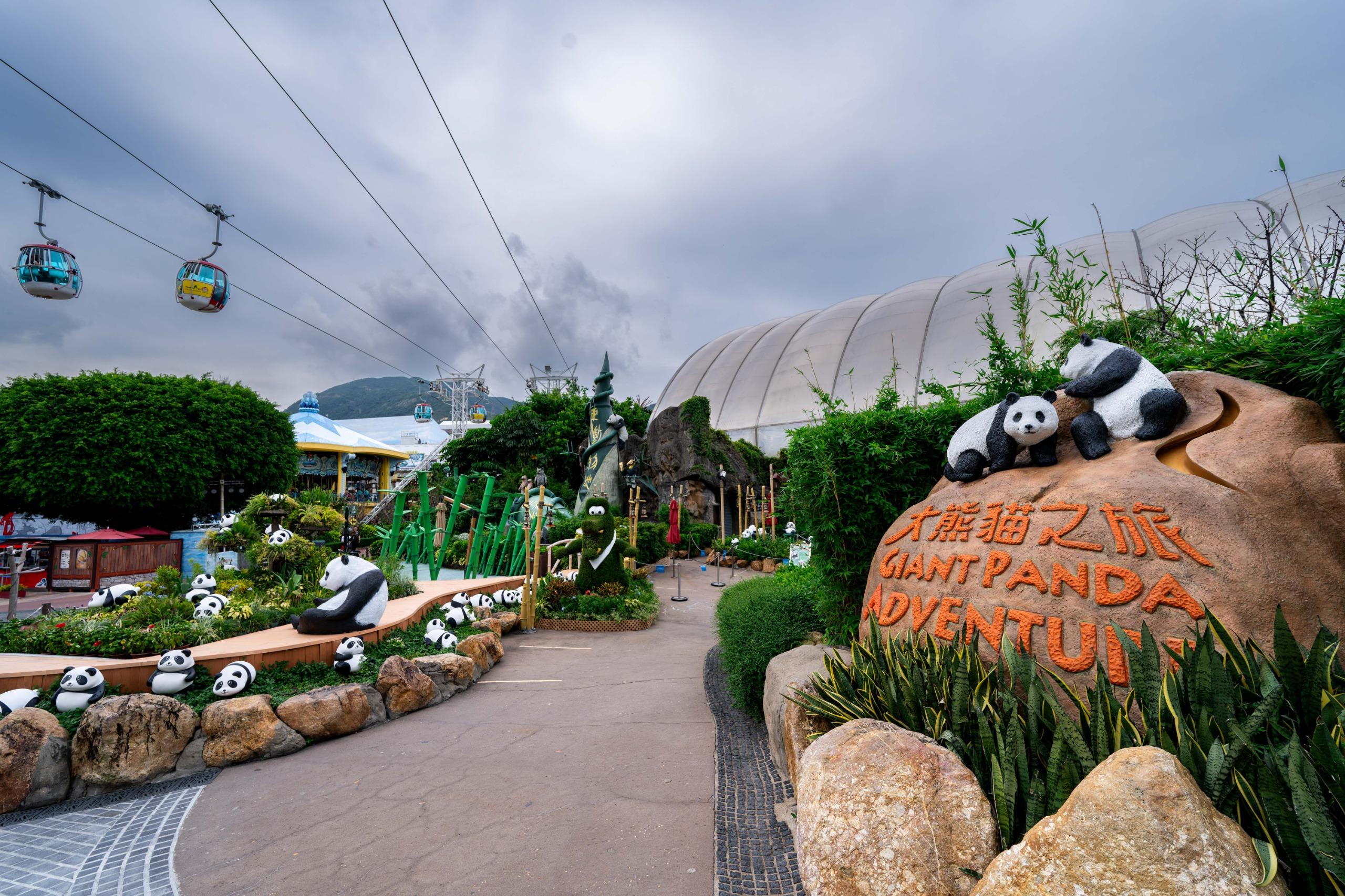 馬會撥捐1.21億元支持海洋公園提升大熊貓館設施 及捐助低收入家庭學生入園