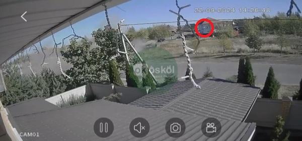 男子墮地,重摔在草地上。(互聯網)