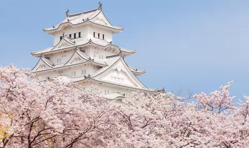 日本兵庫縣的姬路城獲列入聯合國教科文組織世界遺產名錄。(互聯網)