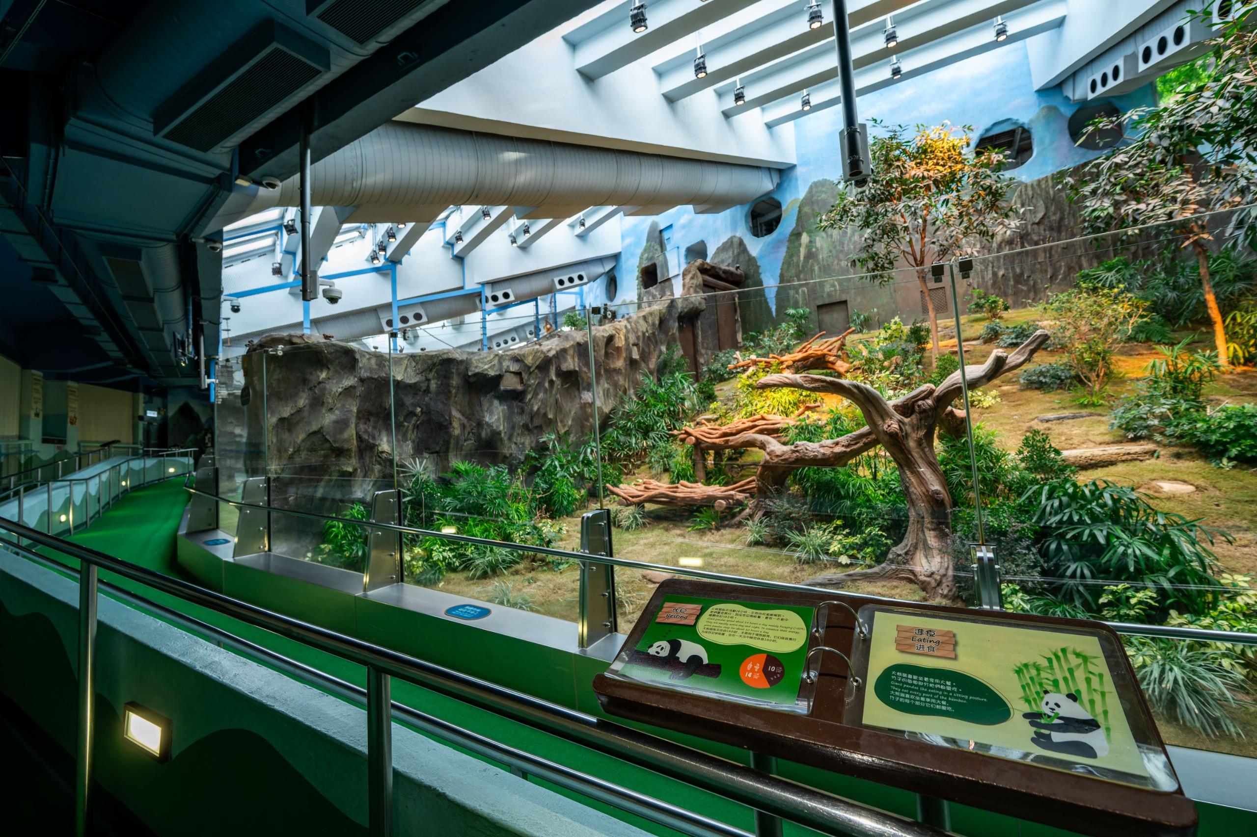 馬會撥捐1.21億元支持海洋公園提升大熊貓館設施 及捐助低收入家庭學生入園