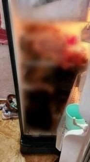 藏屍塊的雪櫃。(互聯網)