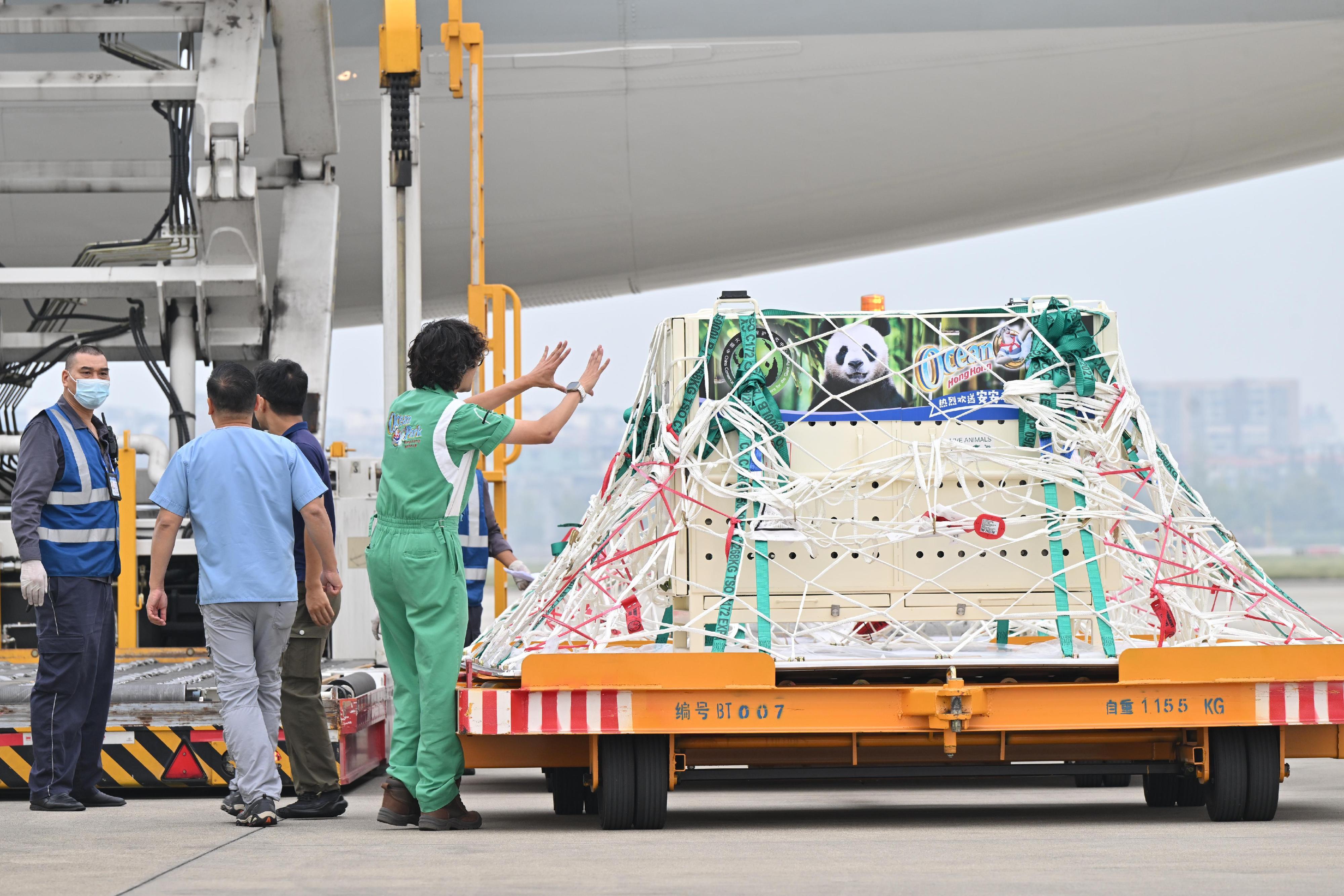 大熊貓安安和可可成都雙流機場啟程,料中午前抵港。(政府新聞處)