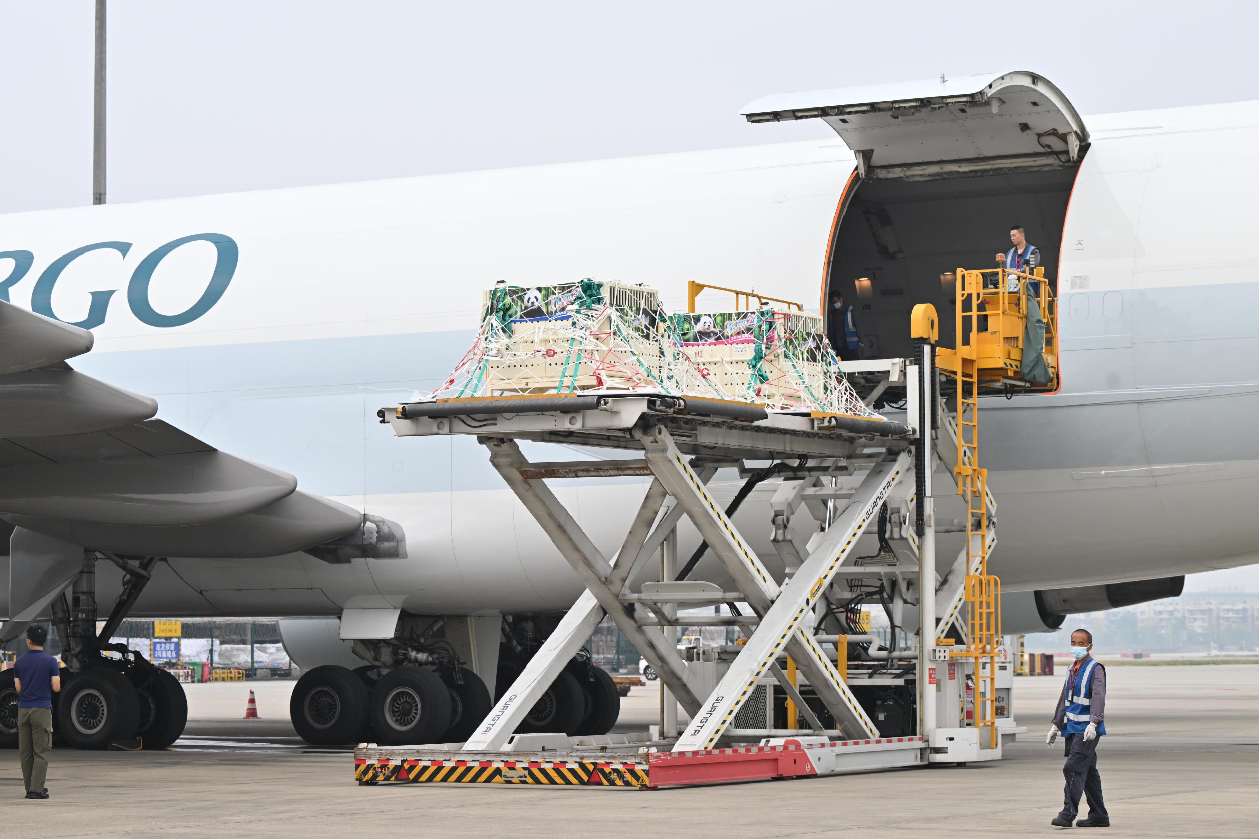 大熊貓安安和可可成都雙流機場啟程,料中午前抵港。(政府新聞處)