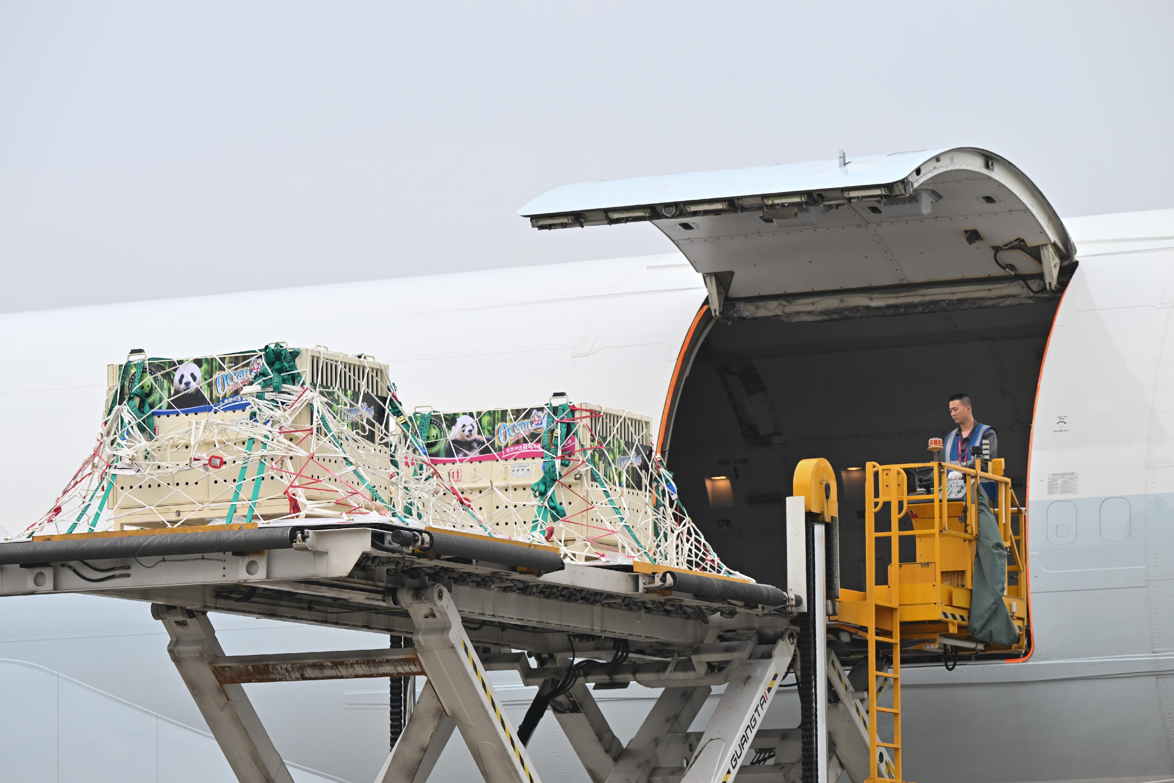 大熊貓安安和可可成都雙流機場啟程,料中午前抵港。(政府新聞處)