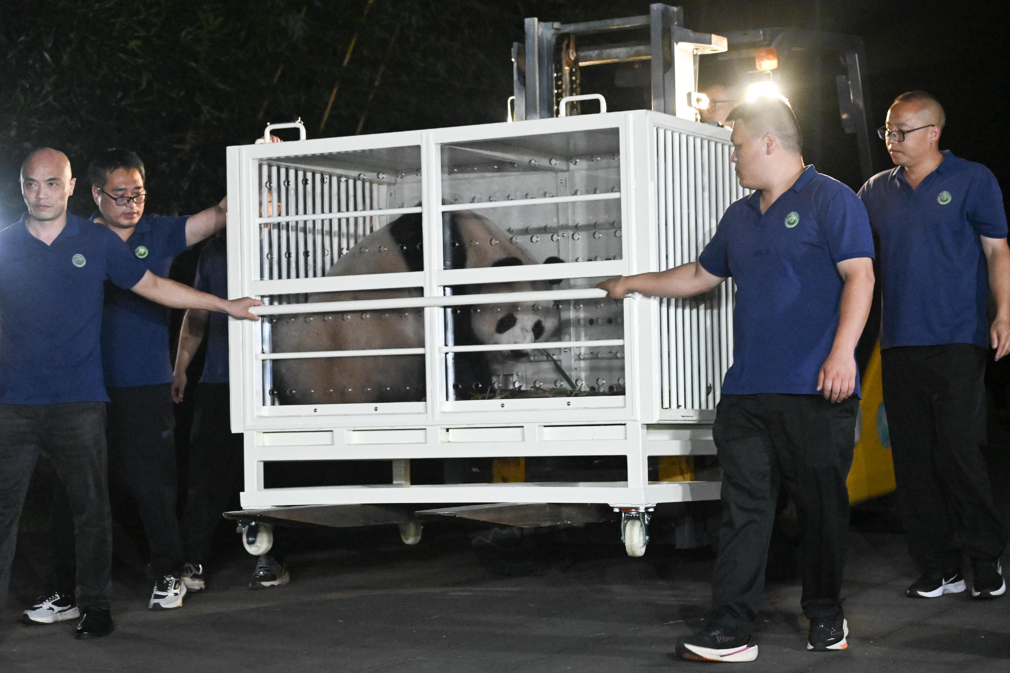安安和可可分置兩個運輸籠,再由卡車運上貨櫃車送往機場。(政府新聞處)