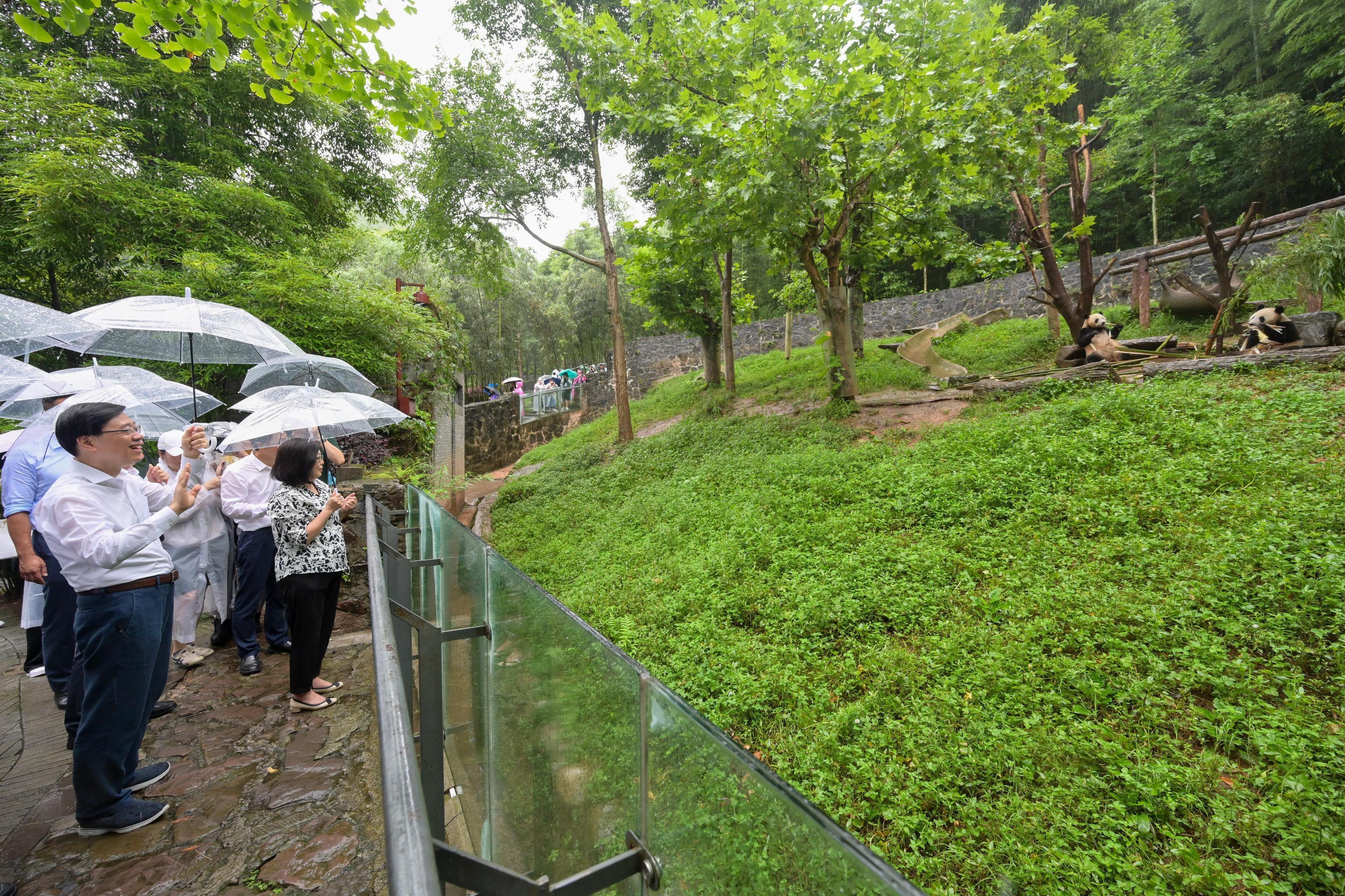 李家超及夫人李林麗嬋等早前到訪中國大熊貓保護研究中心都江堰基地,探訪基地的大熊貓。(資料圖片)