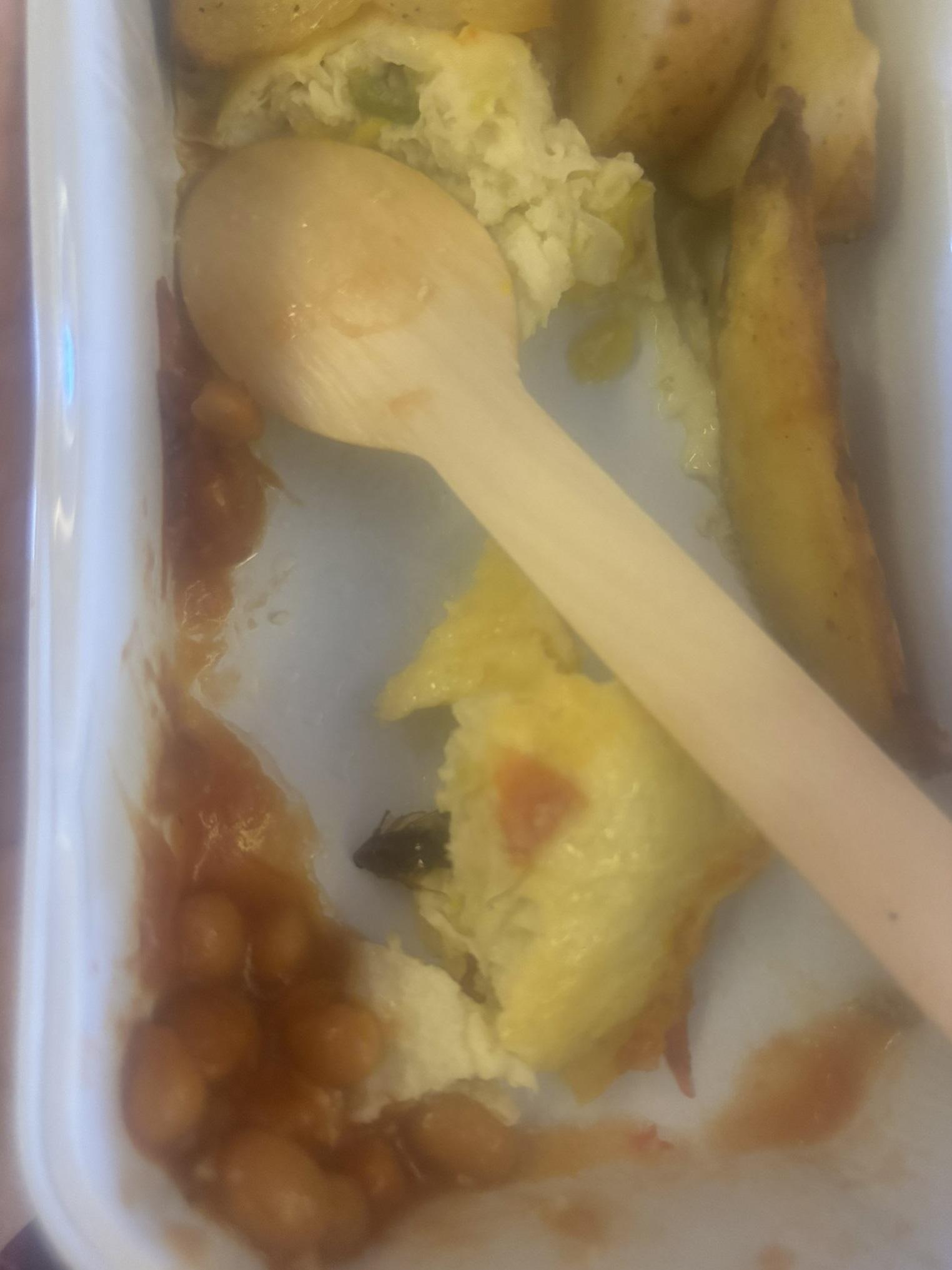 女子拍照,可見飛機餐的奄列下方有一隻蟑螂屍體。(互聯網)