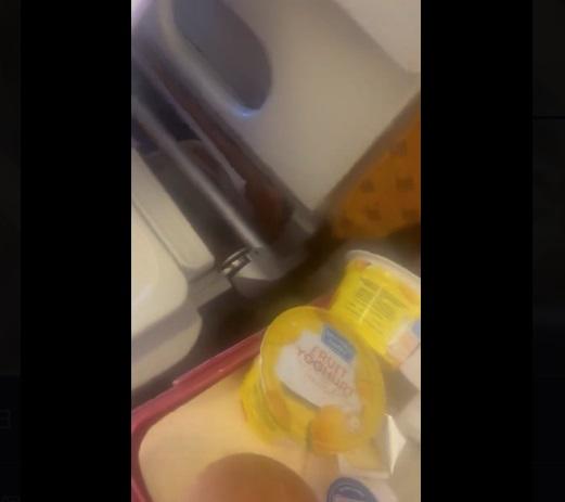 女子在機艙內拍片,可見飛機餐餐點。(互聯網)