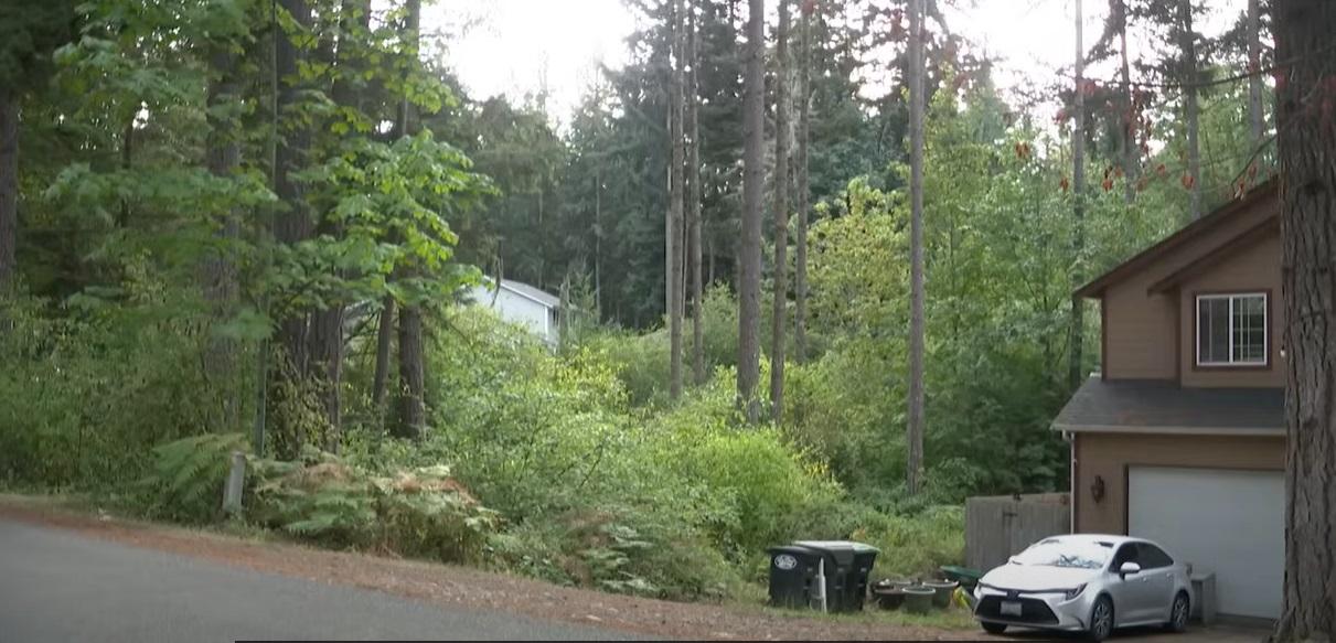 案發的克利爾伍德社區。(互聯網)