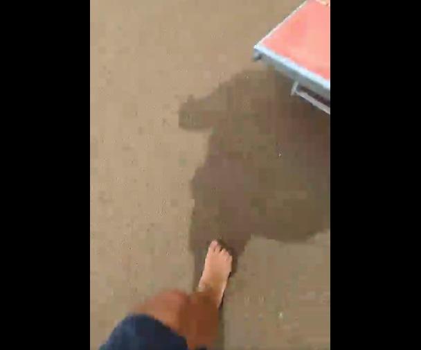 拍攝者嚇得快步逃離。(互聯網)