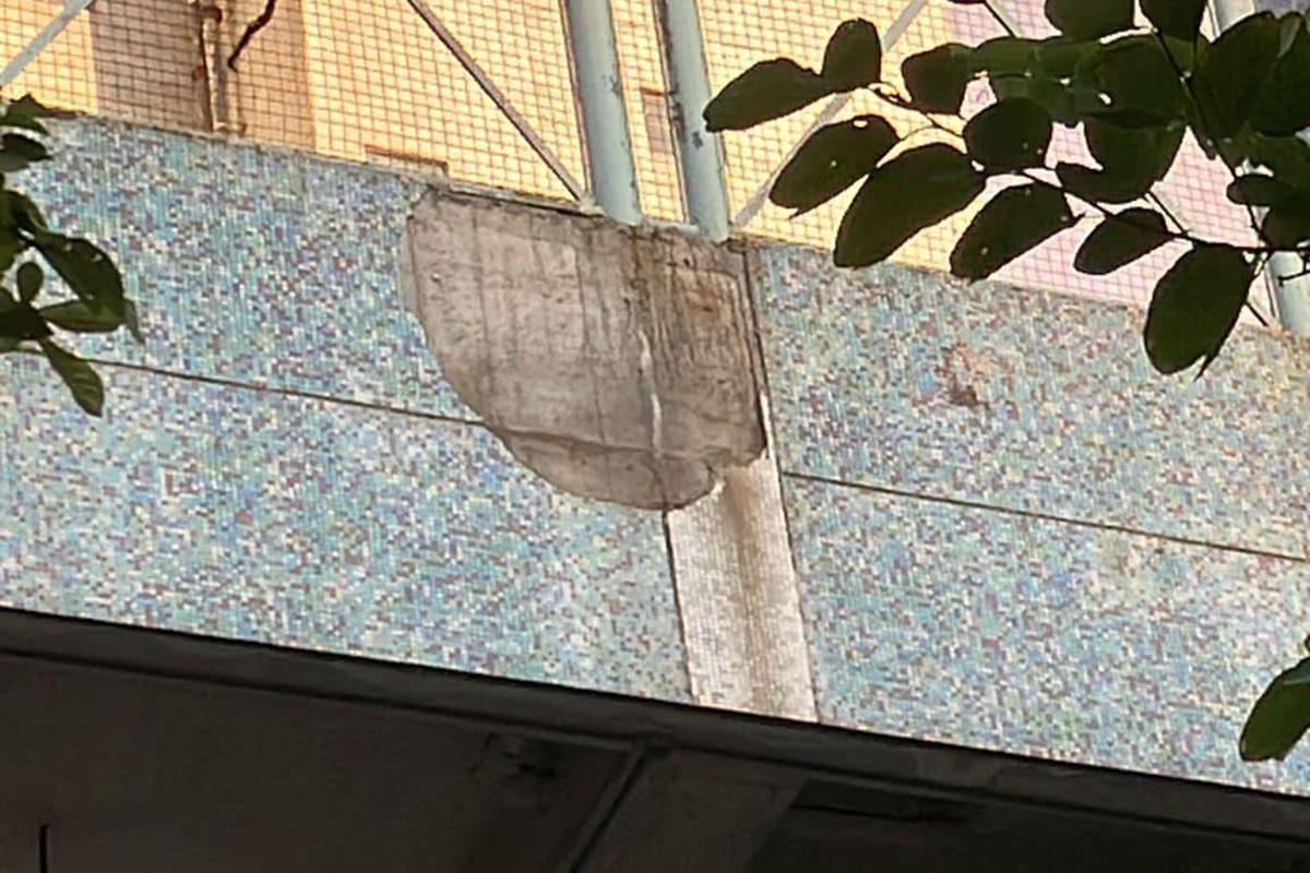 富健花園停車場有紙皮石或批盪剝落。(網上圖片)