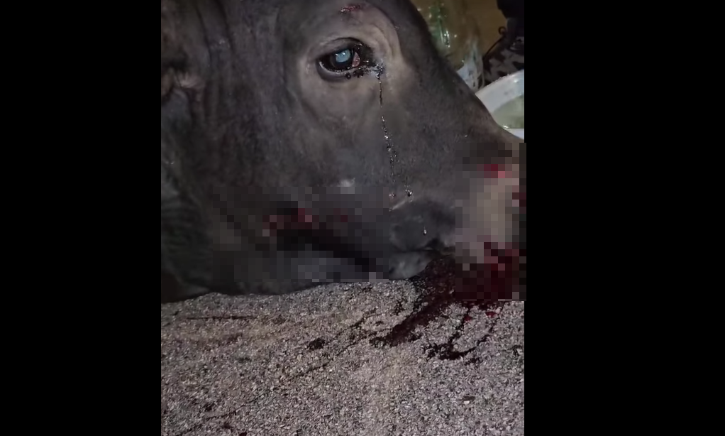 (@fb香港突發事故報料區/Bosco Chu圖片)