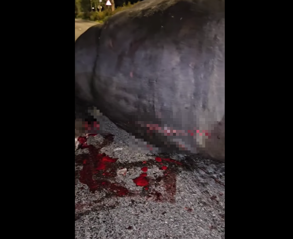 (@fb香港突發事故報料區/Bosco Chu圖片)