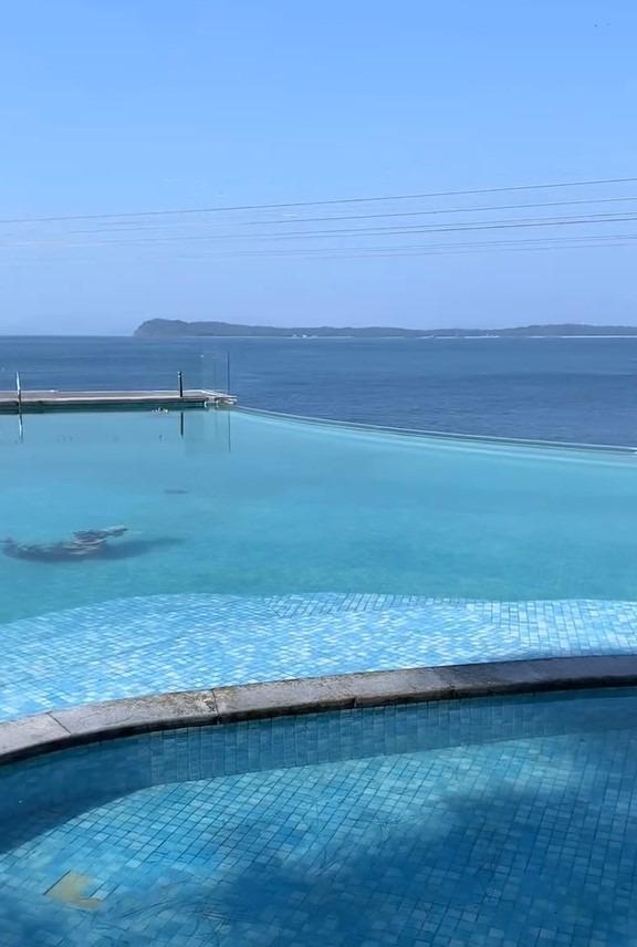 坐過釜山同款小火車後,不妨到泳池與鯊魚「親密接觸」。放心!有訓練員在旁指導的,不用擔心安全。(圖片來源:文旅深圳微信)