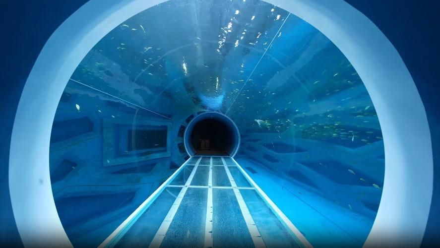 水族館內有海底隧道,能夠近距離觀看海洋生物的各樣生態。(圖片來源:深圳發布 )