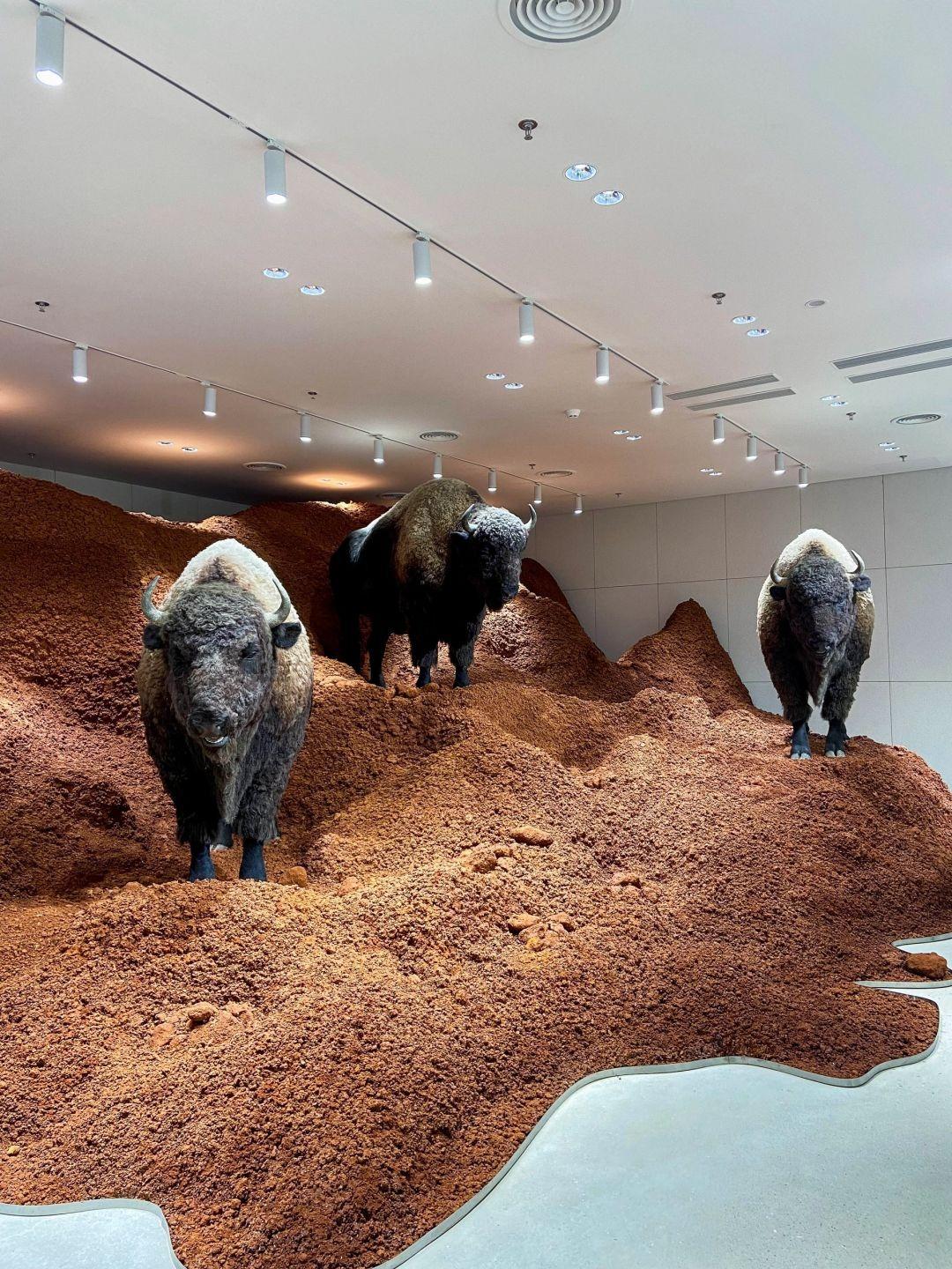 深圳10月展覽攻略:夢幻金魚、巨人雕塑與琉璃大廈