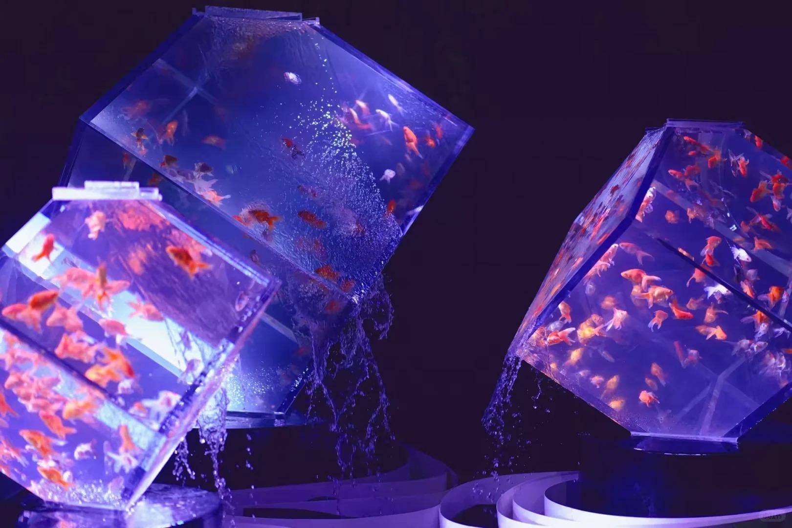 深圳10月展覽攻略:夢幻金魚、巨人雕塑與琉璃大廈