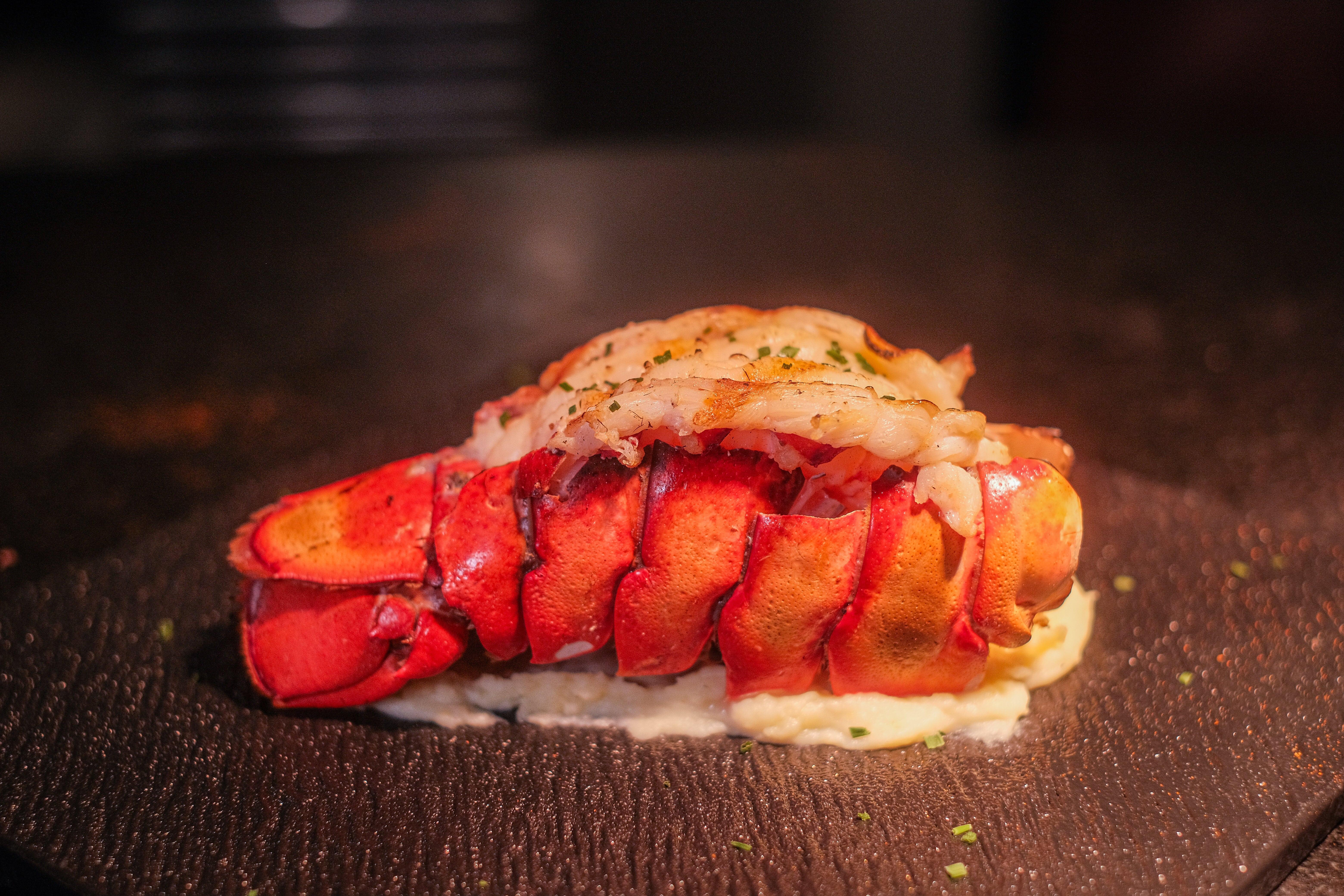 炭烤美國緬因州龍蝦尾鎖著肉汁,肉質爽彈,龍蝦肉鮮甜,吸收了微微煙燻味。