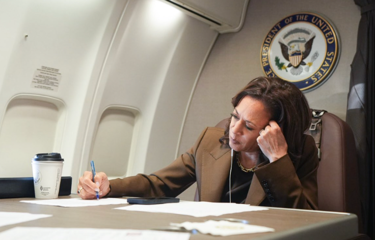 引起質疑的賀錦麗照片。(互聯網)