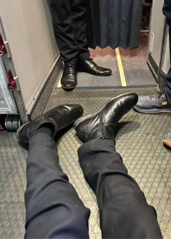 加德納被迫爬入廁所。(互聯網)