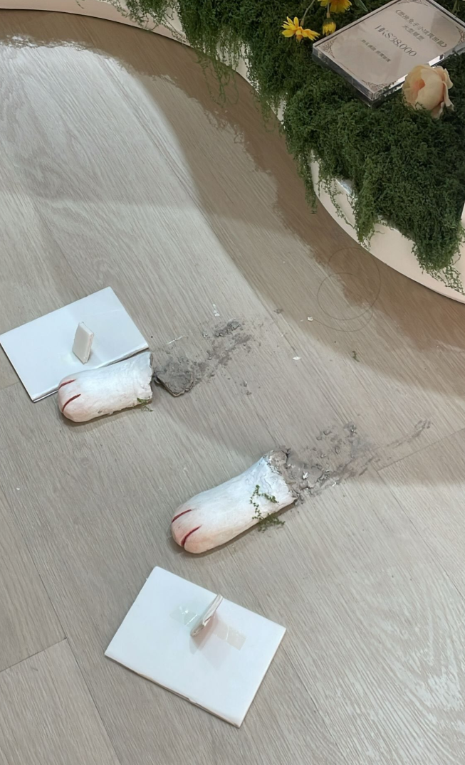 尖沙咀K11 MUSEA一間首飾店擺放了一隻標價3.8萬元的兔子陶瓷雕塑,惟店方發布照片及監控影片,可見兔子被「弄斷」雙腳,涉及一名成年人及兩名小孩。(Threads)
