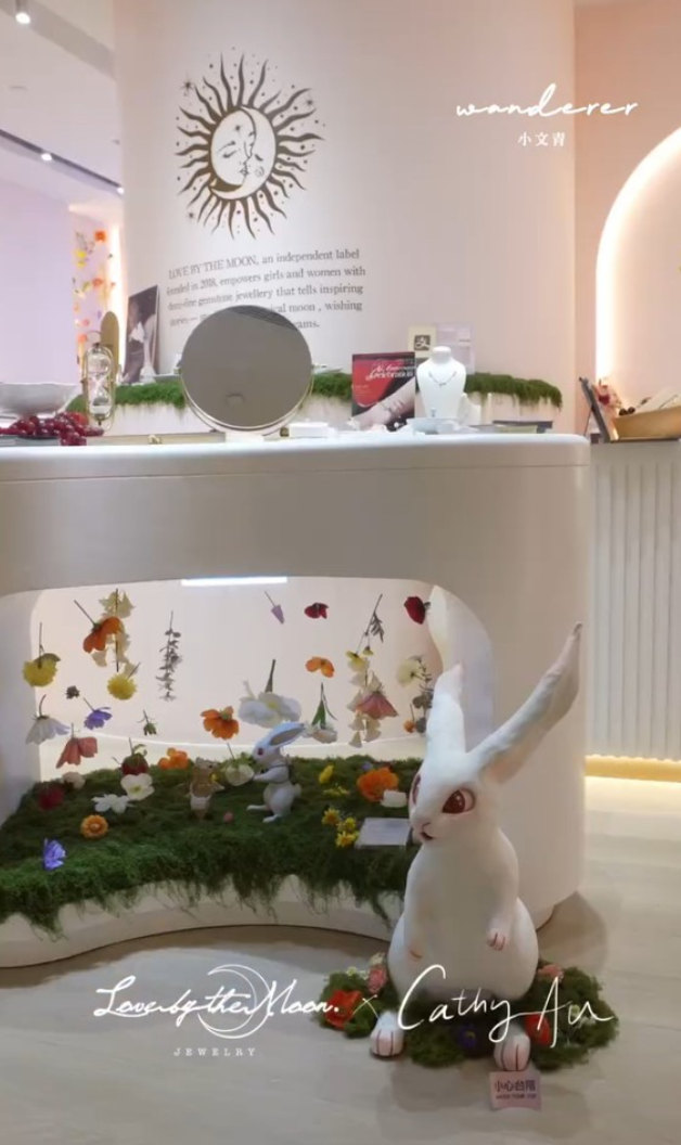 該間首飾店為宣傳新首飾系列,邀請了一名女本地女陶藝家創作以兔子為主題的陶瓷藝術品,照片可見該大型兔子「小淇」雕塑放於飾櫃附近地面,標明「小心台階」、「HK$38000,請勿觸摸,如有損壞照價賠償」,亦可見未有任何圍欄或保護裝置。