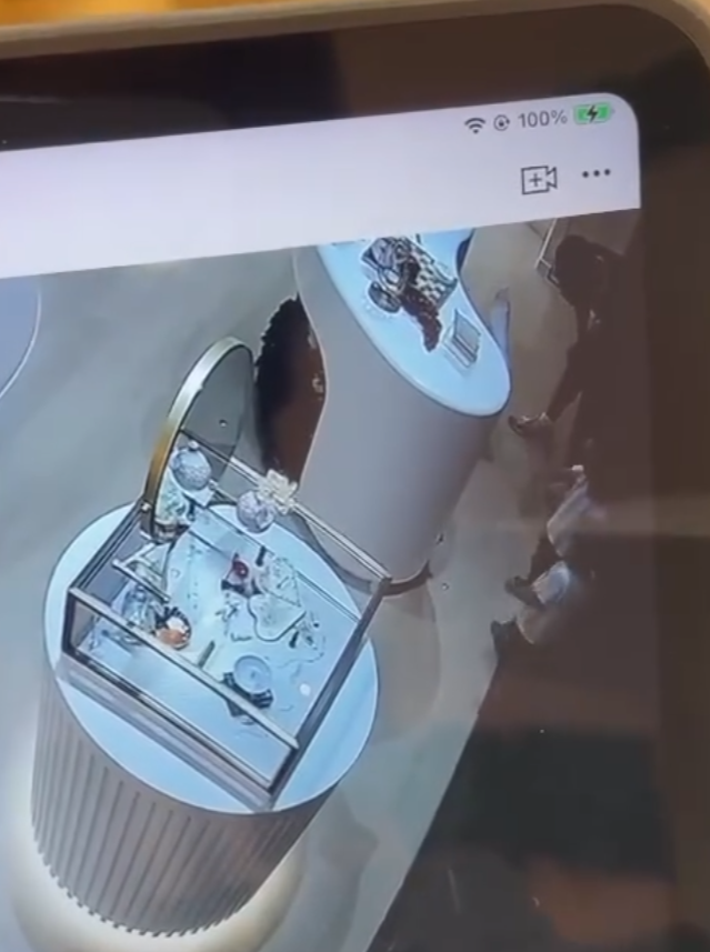 店內CCTV影片可見當時兩名穿相同服裝的小孩見到兔子後上前把玩,其中有觸摸動作,身旁一名男子及後亦觸摸「兔耳」再移動雕塑,似乎發現不妥,隨即要求兩名小孩別再接近,該男子及後「打橫」放下小淇,隨即離開,過程中另有一位白衫男子曾以手機拍下3人的行為