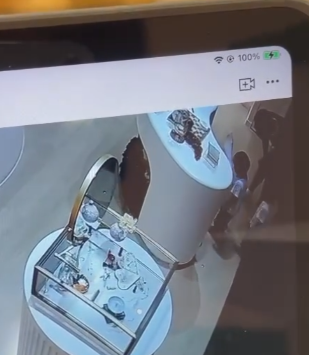 店內CCTV影片可見當時兩名穿相同服裝的小孩見到兔子後上前把玩,其中有觸摸動作,身旁一名男子及後亦觸摸「兔耳」再移動雕塑,似乎發現不妥,隨即要求兩名小孩別再接近,該男子及後「打橫」放下小淇,隨即離開,過程中另有一位白衫男子曾以手機拍下3人的行為