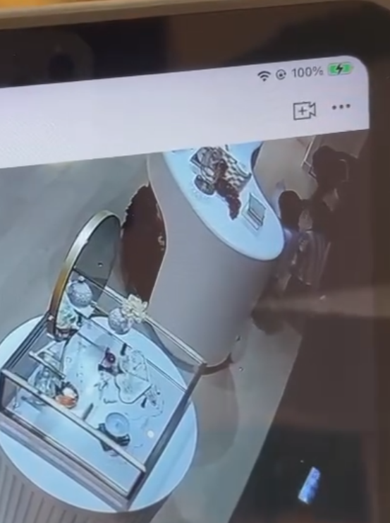 店內CCTV影片可見當時兩名穿相同服裝的小孩見到兔子後上前把玩,其中有觸摸動作,身旁一名男子及後亦觸摸「兔耳」再移動雕塑,似乎發現不妥,隨即要求兩名小孩別再接近,該男子及後「打橫」放下小淇,隨即離開,過程中另有一位白衫男子曾以手機拍下3人的行為