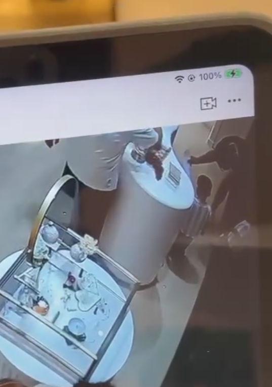 店內CCTV影片可見當時兩名穿相同服裝的小孩見到兔子後上前把玩,其中有觸摸動作,身旁一名男子及後亦觸摸「兔耳」再移動雕塑,似乎發現不妥,隨即要求兩名小孩別再接近,該男子及後「打橫」放下小淇,隨即離開,過程中另有一位白衫男子曾以手機拍下3人的行為