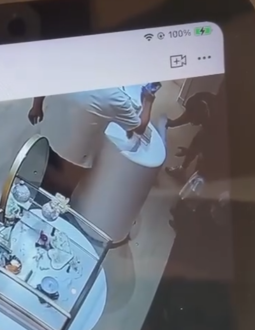 店內CCTV影片可見當時兩名穿相同服裝的小孩見到兔子後上前把玩,其中有觸摸動作,身旁一名男子及後亦觸摸「兔耳」再移動雕塑,似乎發現不妥,隨即要求兩名小孩別再接近,該男子及後「打橫」放下小淇,隨即離開,過程中另有一位白衫男子曾以手機拍下3人的行為