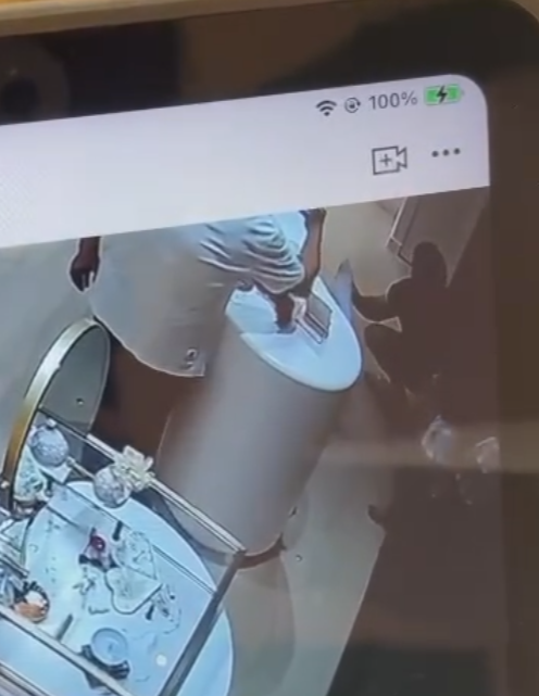 店內CCTV影片可見當時兩名穿相同服裝的小孩見到兔子後上前把玩,其中有觸摸動作,身旁一名男子及後亦觸摸「兔耳」再移動雕塑,似乎發現不妥,隨即要求兩名小孩別再接近,該男子及後「打橫」放下小淇,隨即離開,過程中另有一位白衫男子曾以手機拍下3人的行為