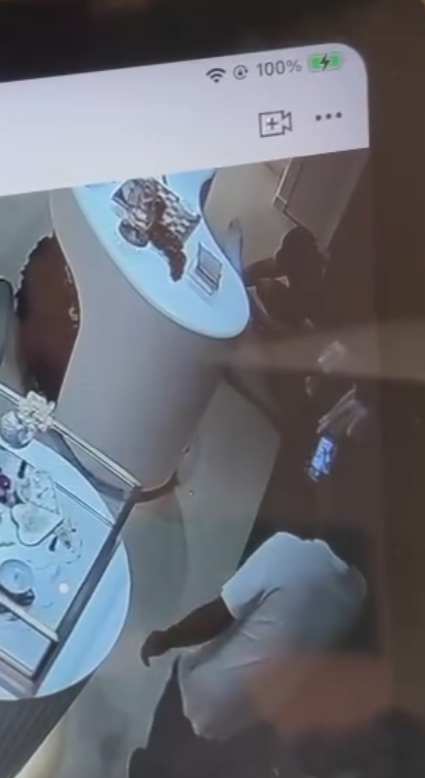 店內CCTV影片可見當時兩名穿相同服裝的小孩見到兔子後上前把玩,其中有觸摸動作,身旁一名男子及後亦觸摸「兔耳」再移動雕塑,似乎發現不妥,隨即要求兩名小孩別再接近,該男子及後「打橫」放下小淇,隨即離開,過程中另有一位白衫男子曾以手機拍下3人的行為