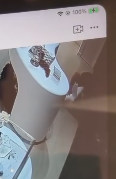 店內CCTV影片可見當時兩名穿相同服裝的小孩見到兔子後上前把玩,其中有觸摸動作,身旁一名男子及後亦觸摸「兔耳」再移動雕塑,似乎發現不妥,隨即要求兩名小孩別再接近,該男子及後「打橫」放下小淇,隨即離開,過程中另有一位白衫男子曾以手機拍下3人的行為