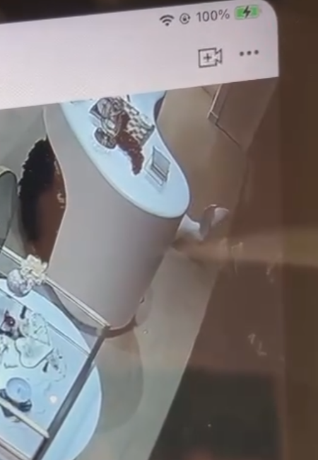 店內CCTV影片可見當時兩名穿相同服裝的小孩見到兔子後上前把玩,其中有觸摸動作,身旁一名男子及後亦觸摸「兔耳」再移動雕塑,似乎發現不妥,隨即要求兩名小孩別再接近,該男子及後「打橫」放下小淇,隨即離開,過程中另有一位白衫男子曾以手機拍下3人的行為