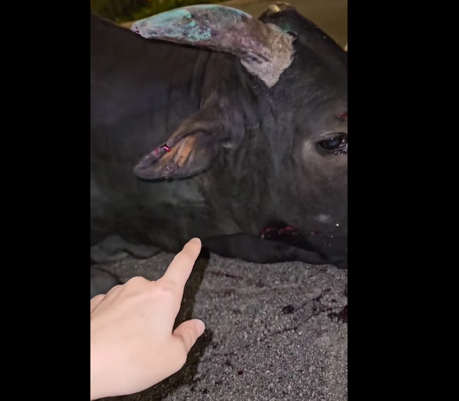 (@fb香港突發事故報料區/Bosco Chu圖片)