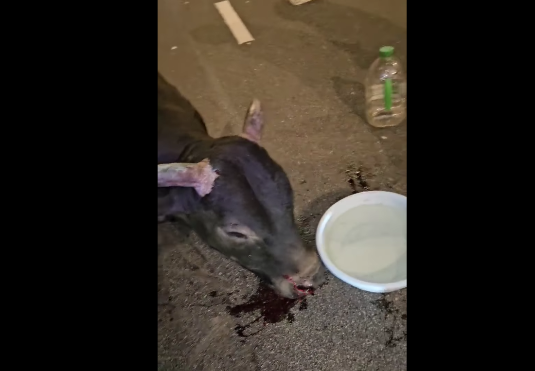 (@fb香港突發事故報料區/Bosco Chu圖片)