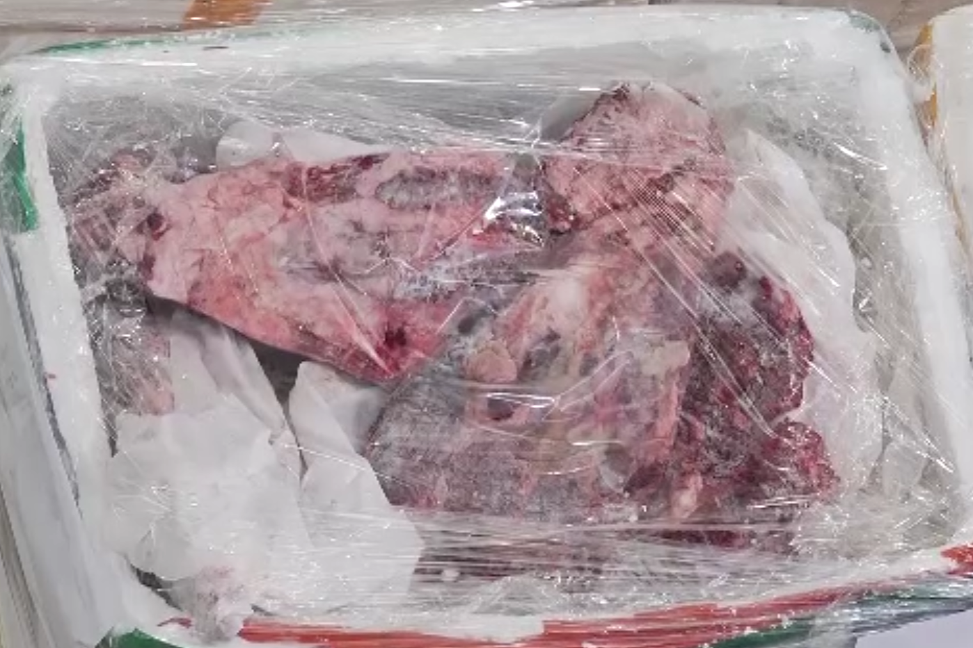 香港聯同內地海關破獲走私食品案 檢約值20萬元凍肉大閘蟹等(港台視像新聞截圖)