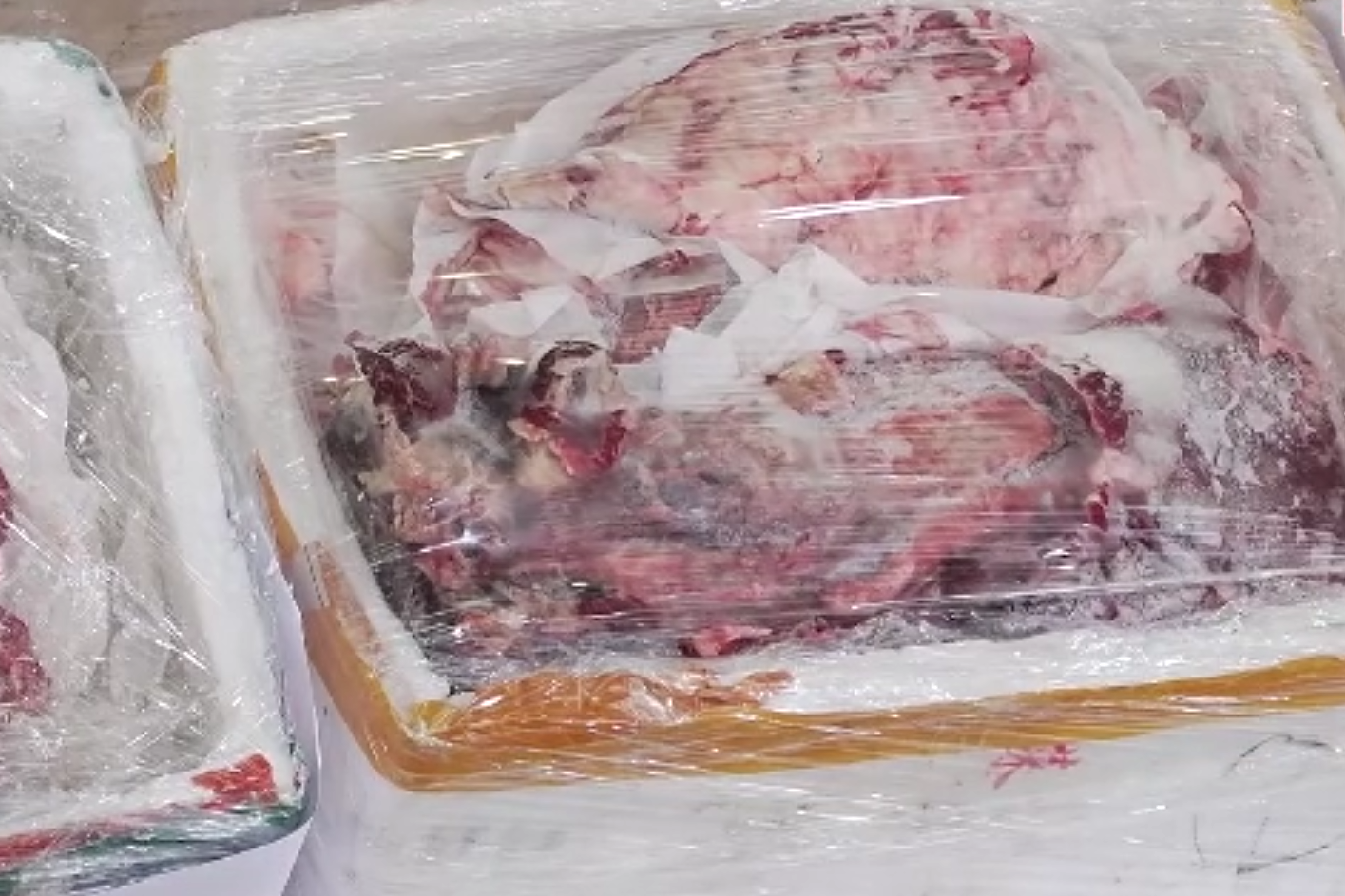香港聯同內地海關破獲走私食品案 檢約值20萬元凍肉大閘蟹等(港台視像新聞截圖)