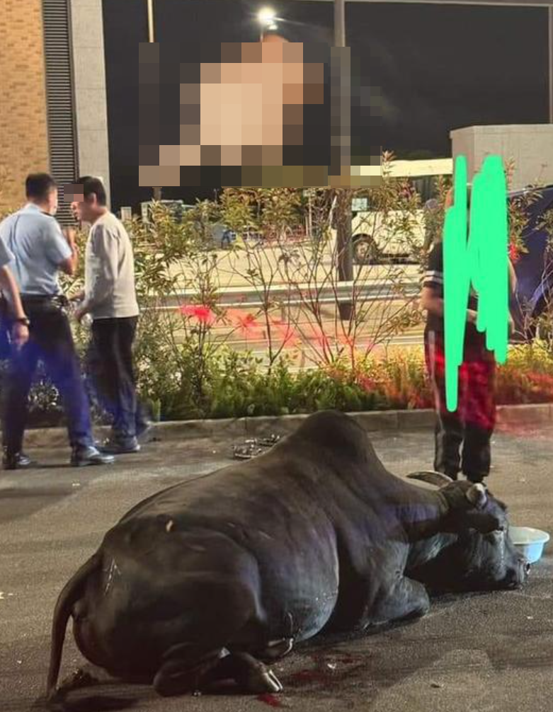 涉案的蔡姓司機現場接受警員查問。(網上圖片)