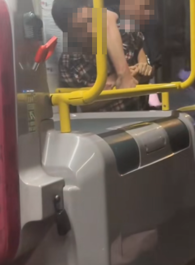 黑衣漢與格仔衫男在車頭上客位置扭打,黑衣漢佔上風按實對方壓向扶手欄,格仔衫男無力招架大叫「打劫呀,佢搶我信用卡銀行卡,報警唔該」 (抖音影片截圖)