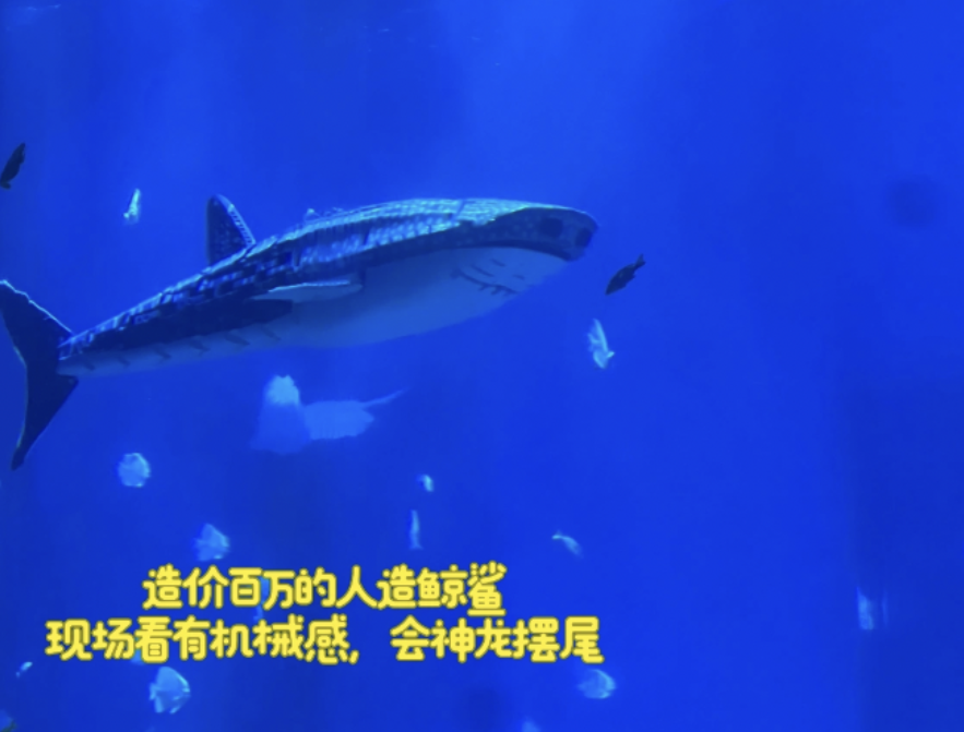 號稱深圳最大水族館、位於鹽田區的「小梅沙海洋世界」自十一長假開始試營業,7天假期共接待超過10萬人次旅客,惟隨即陷入爭議,有遊客批評館內大型魚缸展示的「鯨鯊」只是人造機械魚,而非活魚(影片截圖)