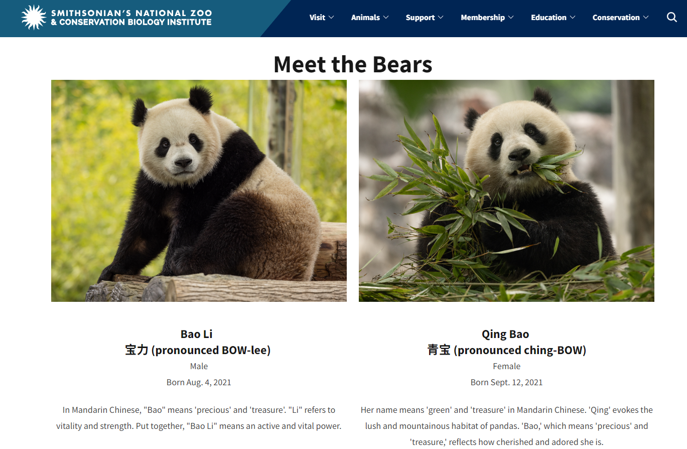 華盛頓國家動物園為大熊貓「寶力」和「青寶」設置專頁!(互聯網)