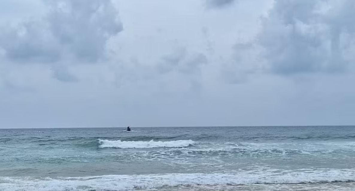 該名男遊客在救護員到場前已證死亡。(互聯網)