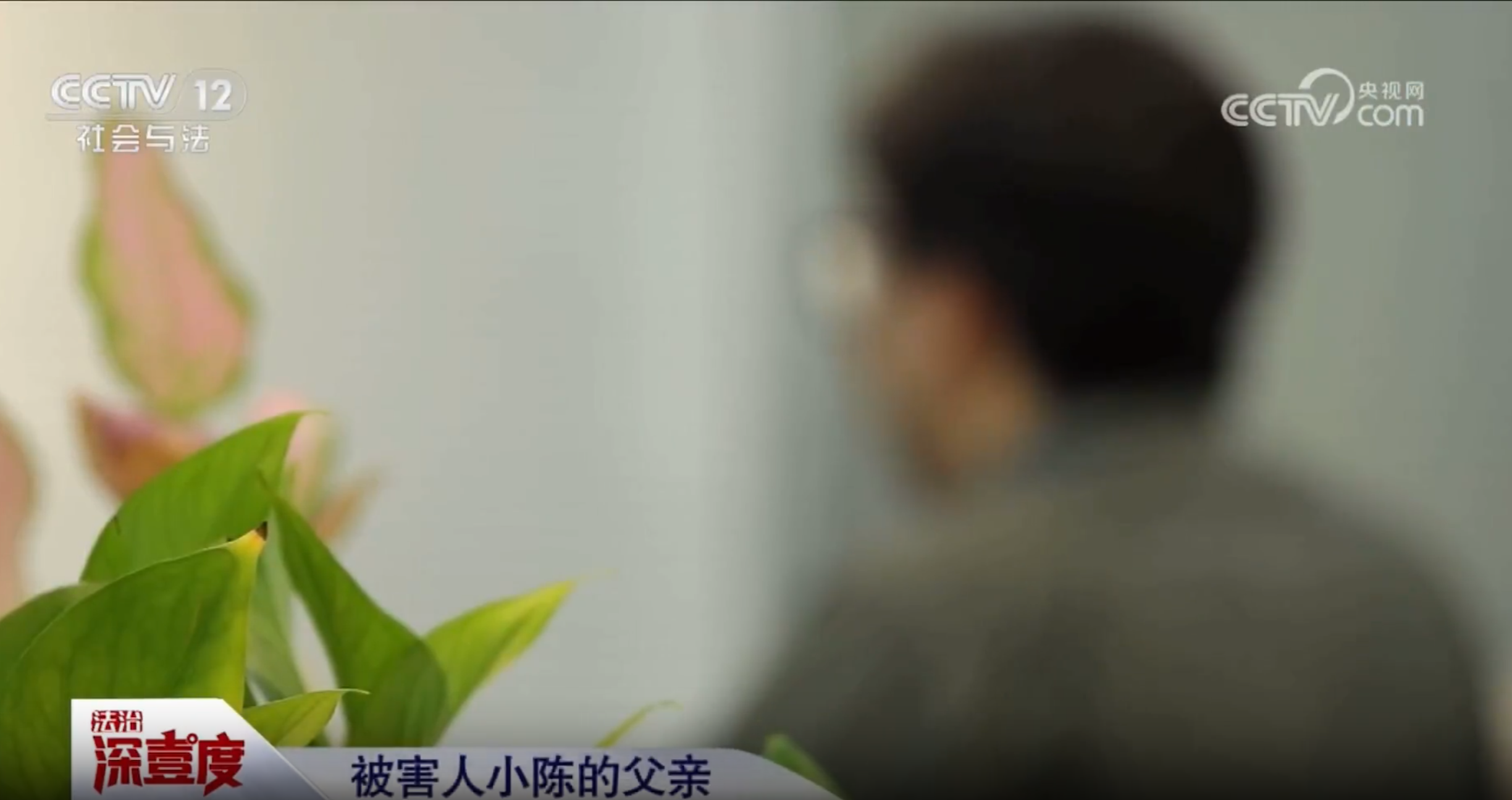 央視日前播出廣東省佛山市順德區人民法院審理的一宗侵害未成年人性權益案件,一名育有兩名兒子的41歲廣西女主播裸聊引誘一名11歲廣東男孩,獲打賞1萬多元人民幣(約1.1萬港元),去年12月被判囚3年。(央視截圖)