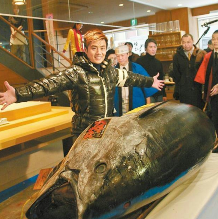 鄭威濤在2008年以43萬港元在築地市場投得「日本一」的藍鰭吞拿魚,成為首位港人投得「日本一」,榮登風頭人物。(資料圖片)