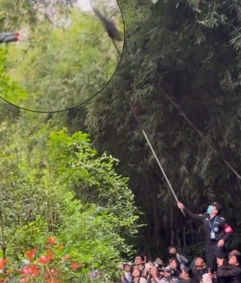 保安員發現立即找來長杆將無人機擊落,現場遊客齊聲歡呼大讚:「漂亮」。(微博)