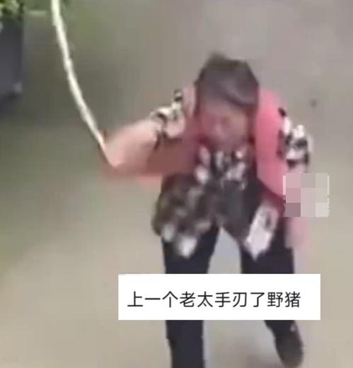 網民:這老太簡直太可愛了,抓蛇時還能展現暴擊技能。(微博)