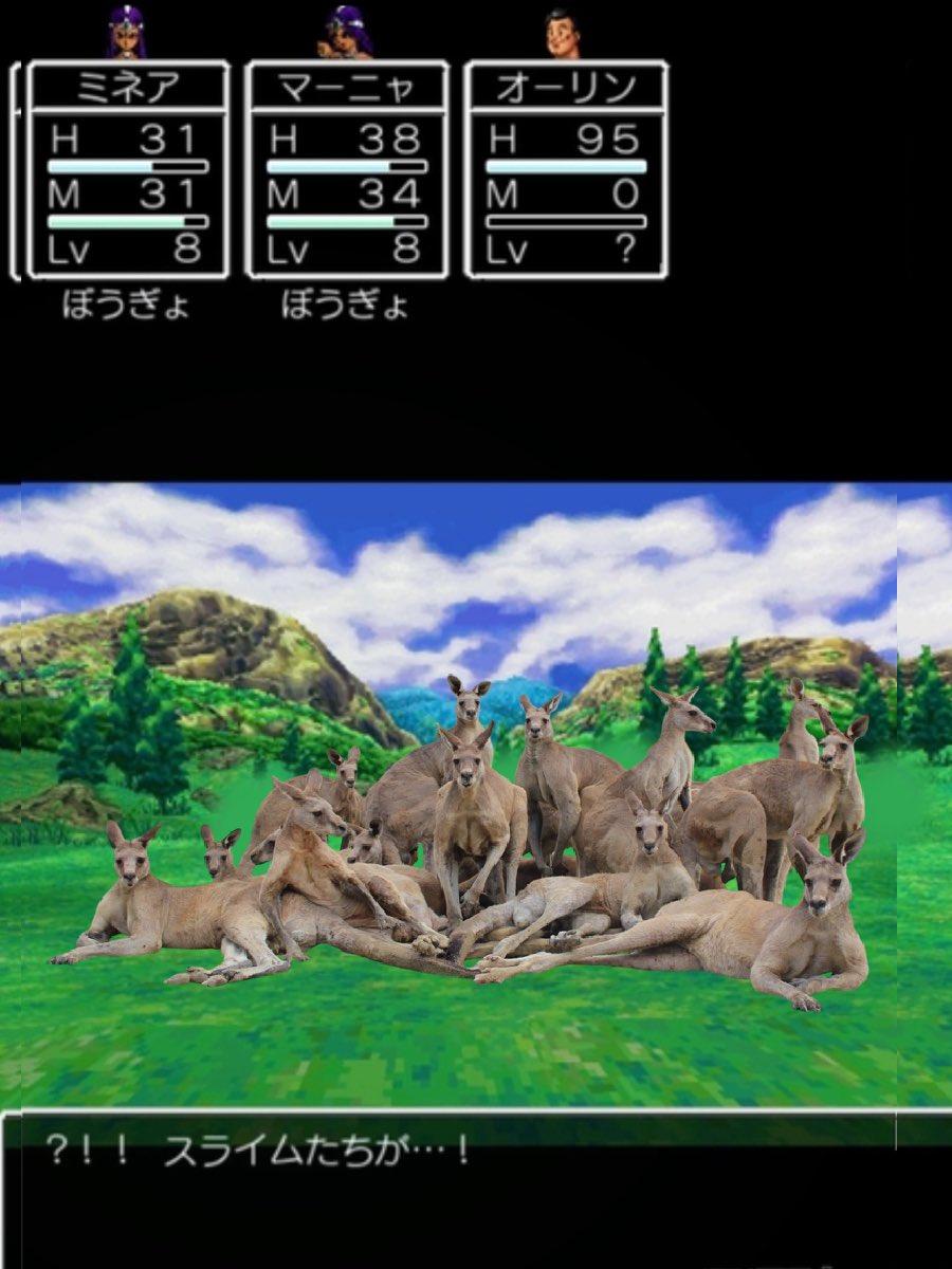 不少人把袋鼠團體照P圖到不同場景,令人發笑。(X)