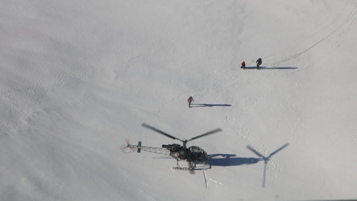 Michelle與Fay獲救。(X)